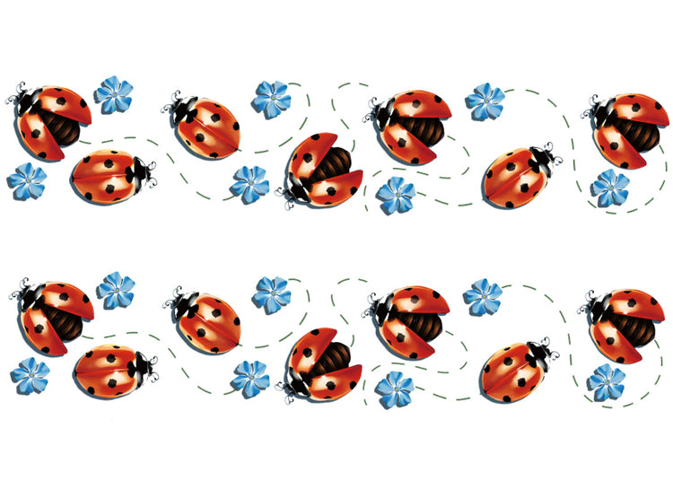 Ladybug Lane Tattoo Band - cute girl girls Girly Designs ladybug ladybugs temporary tattoo wrist full sleeve temporary tattoo for kids