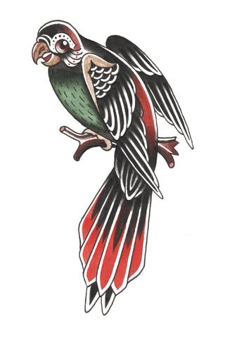Polly